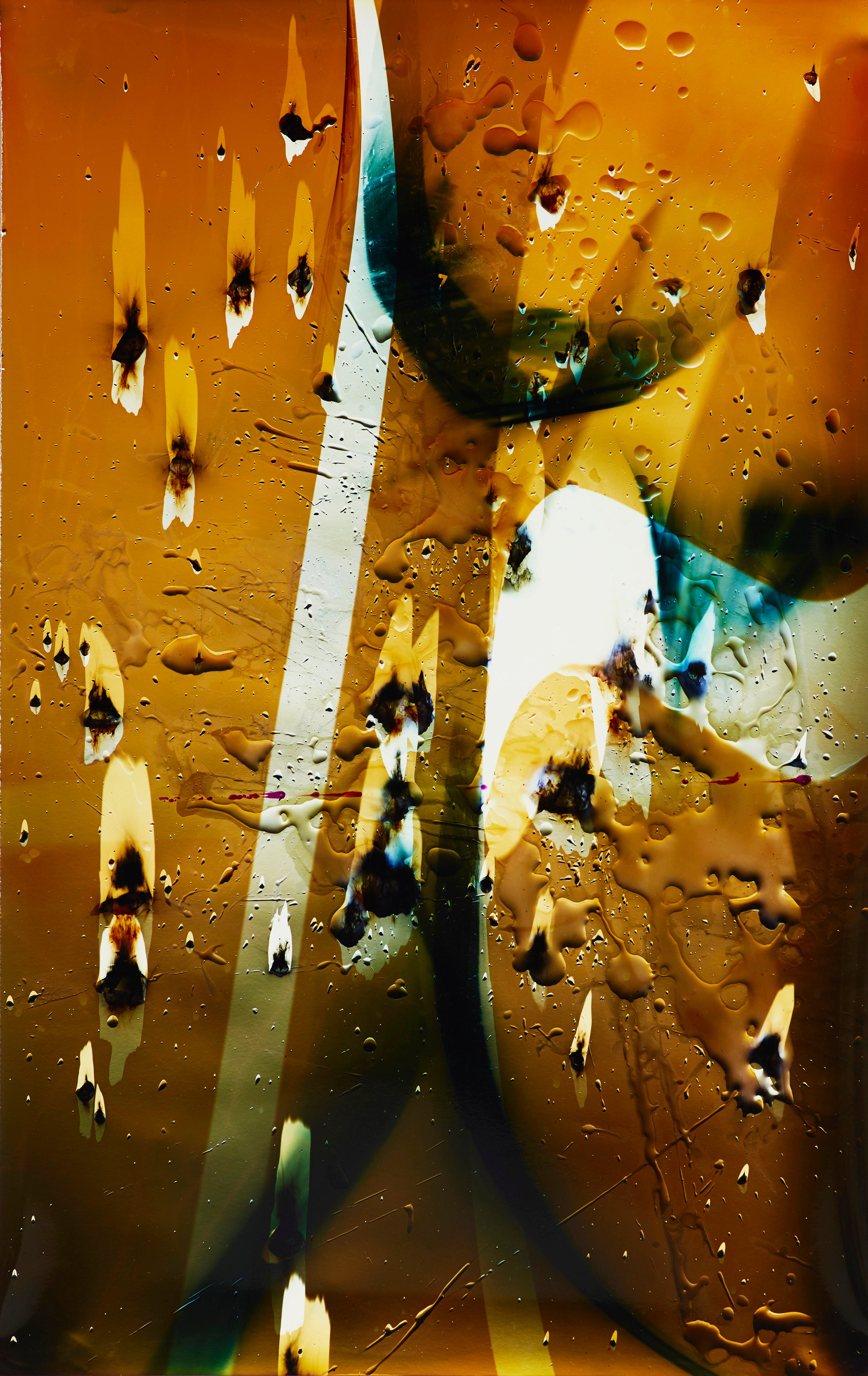 LENS: Photography Council 2016 Acquisitions | Unframed